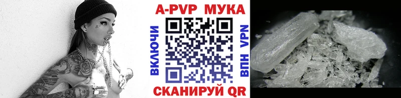 Купить закладки  Донецк  Alpha-PVP СК 