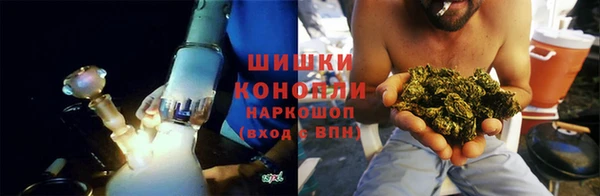 прущие грибы Заволжск