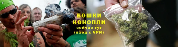 марихуана Заводоуковск