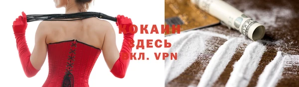 прущие грибы Заволжск