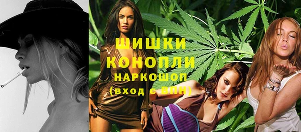прущие грибы Заволжск