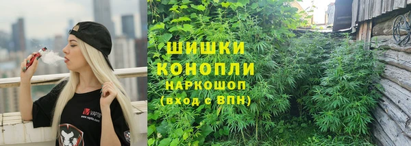 марихуана Заводоуковск