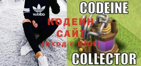 прущие грибы Заволжск