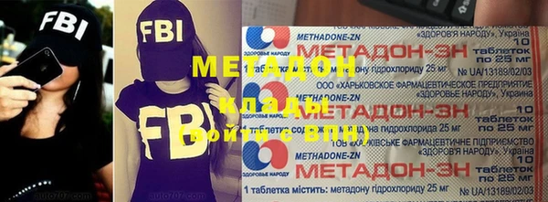 прущие грибы Заволжск