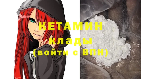прущие грибы Заволжск