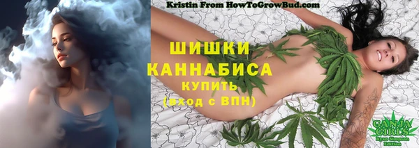 марихуана Заводоуковск