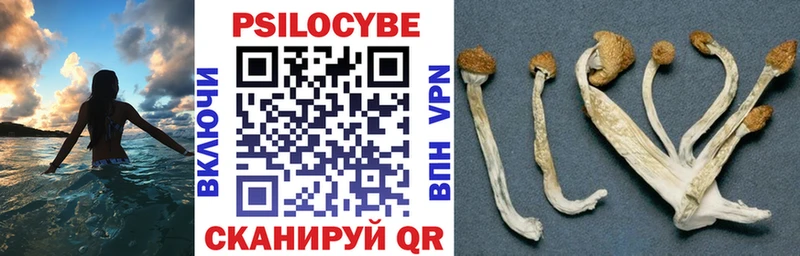 Купить закладки  Донецк  Галлюциногенные грибы мухоморы 